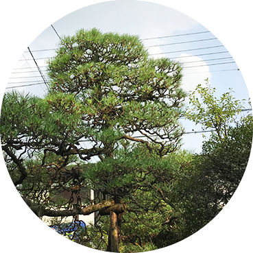 庭を造る、庭を手入れする時、プロとして経験・知識で考える前にまずは住む人であるお客様の声を第一に考えています。